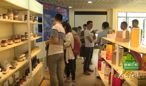 數(shù)說貴州 數(shù)字鄉(xiāng)村的貴州實踐，智慧生活織就智富夢